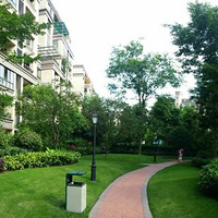 ���ȵ�����