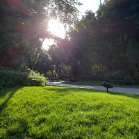 ժ������