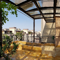 ��������ѳ�����