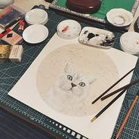 ���������� ��Ȼ�����һ����è�䡫