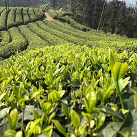 ̸ʲô��������ʲô�飬���ҼҲ�ɽ���������������Լ���