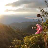 ��ȥˣ�������ֱ�ϰ���Դ߻�