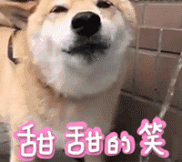 ǳɳռվḻӻۿۺӴ