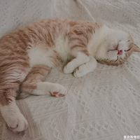 ��һֻճ�˾���������ʲô�������飿