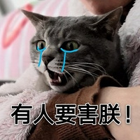 è�����Щǧ��ٹֵ�˯��