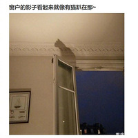 ��������һ�֡�è�������������ֶ��������쿴ɶ����è��