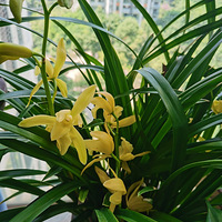 ֻ��΢Ц�����������ˣ��Ż�����ɣ���Ŀ��֡�