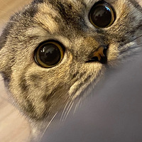 �ð���������ޣ�