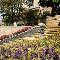 ��������ɽ300�O�������ݣ�ԽװԽ�󣬿ͷ�����Ǵ�԰