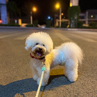 �Ҿ������Ǽұ�����ֵ����ˣ�������