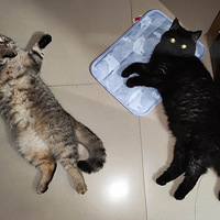 �Ҽҵ�ûͷ�ԺͲ�����