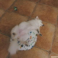��˯��������Ҳ̫�����˰�...