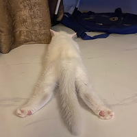 ������С������