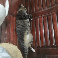 è�����ģ�˯������