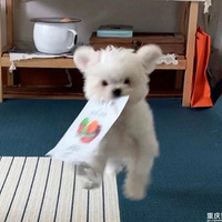 ���ǿ� ��ֻ���������Ү