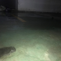 С�������ˣ�ϣ���Ǳ�������������