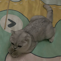 ���̳���������ɻ����ܵ�������