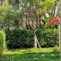 ��ɽ��350�OԤ��200W���͸��������鷿��2020����װ���ռǡ�