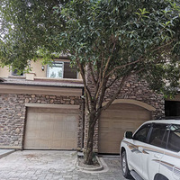 ������֮�ִ����ݡ�2020����װ���ռǡ�