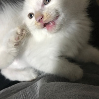 ���Ϻø�λ���ѣ������ָ�С��ϴ���ˣ�һת�ۣ�С���ֳ����˵㣬