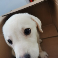 ��Ҳ�������Ҽ�̳̳�ĳɳ���¼