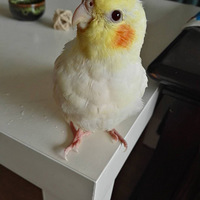 �Ҽҵ����糬����