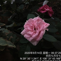 �¼����˺���