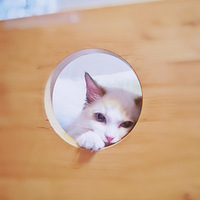 ˵˵�Ҽ���ֻ������������è��