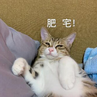 �Ҽҵ���������껨è�����ӷ����ˡ���������ʱ�����гɾ͸�