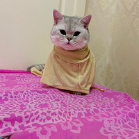 ����С���󡱱�è ������������������
