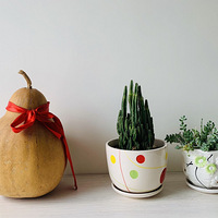 �깤�����Ǹö������ʦ�ġ�2020-3���ϼ���Ҵ�����