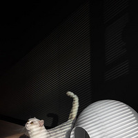 ��װ100ƽ�ִ��������ڱ�ҵ�ˣ���˵��ɫ̫�䣬ȴ����ƫ�������