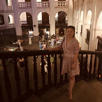 ����������+�����������