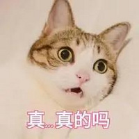 ᵼ鷿´ʵǶˣ