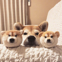 �ǳ������Ĺ�����Ƭϵ��