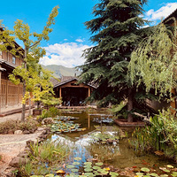 ����������ɳϪ�����ڸ��Ƶ���Ƭ����2020�����μǡ�