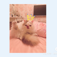 è���ڼ����ڼ�������