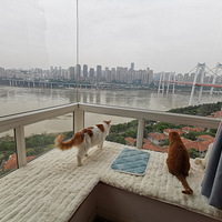 ����һ�²�ʺ�ټ��ﶼ��ʲô���ʵı��״�����