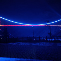 ¶СΡ2020μǡ