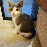 ���׵ܵ���������