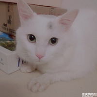 �޳�����