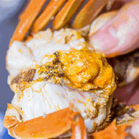 �Ի�װ�޹�˾�ϰ壬�Կ����˾�����ֻ��բз��