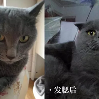 Ϊμ巢עЩҲС䷽