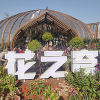 -μǡ2020μǡ