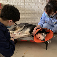 �ع�ų����챾����רҵȮ��#���쿡������##CHD#