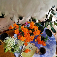 �ҵ���Щ��������������ÿ�����侲��Ϊ�ҿ��š�