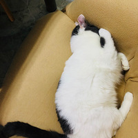 С�һ�˯����˯����ô�ɰ�