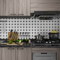 45�OԾ�㣬���Ľ���Ұ��ĳ����ʸ�INS�����