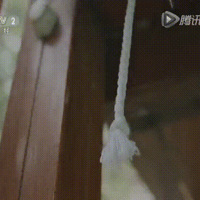 ·Ӳٴˣ쿴û