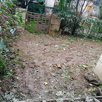 �ڶ���������ʼ